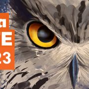 Retour sur la 15e nuit de la Chouette