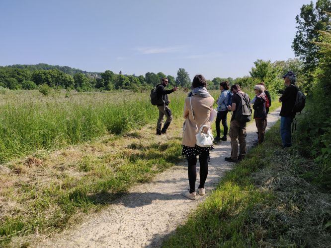 Retour sur la sortie botanique à La Rosière