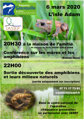 Frequence grenouille