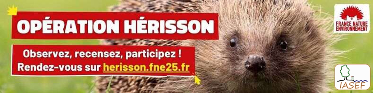 Opération hérisson