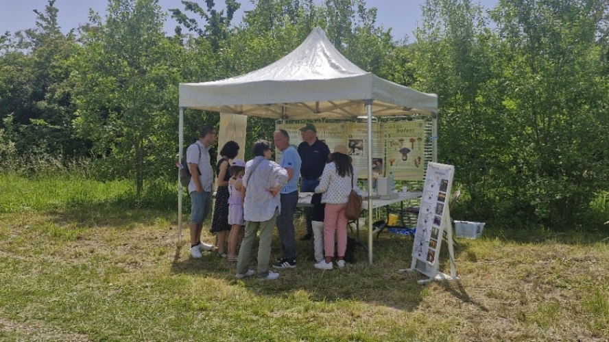 Mycologie