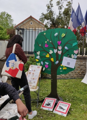 Des infos sur le hérisson et sa protection .... et l'arbre IASEF...