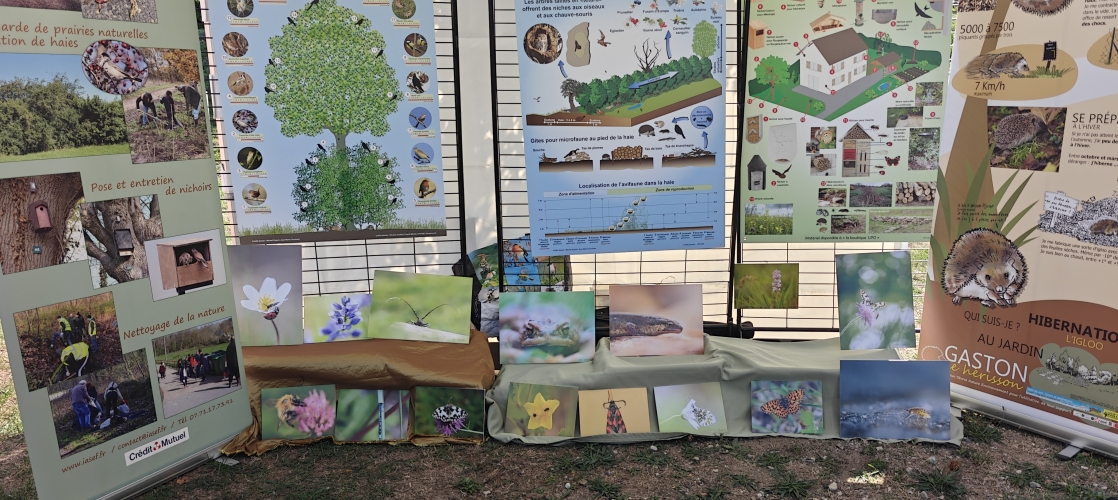 La partie Expo Photos ....
