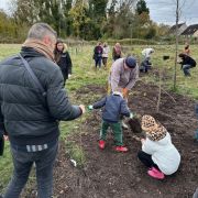 Retour sur la journée de plantation du 23 novembre 2024