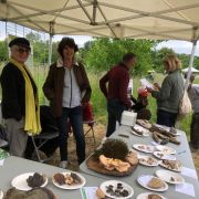 Retour sur la fête de la nature 2025