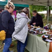 Retour sur la fête de la campagne à Mériel